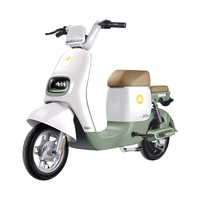 新日新国标电动车星空48V24Ah锂电池电瓶车代步助力自行车烟灰绿