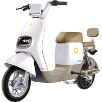 新日新国标电动车星空48V24Ah锂电池电瓶车代步助力自行车童话白