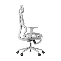 YANXUAN 网易严选 小蛮腰系列 S9 Pro 人体工学电脑椅 灰色 带搁脚款