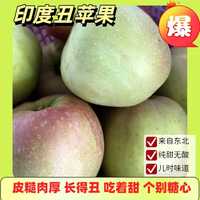 鲜姿印度青苹果丑苹果新鲜水果丑苹果新鲜青苹果时令水果整箱 5斤巨无霸（单果300g+)