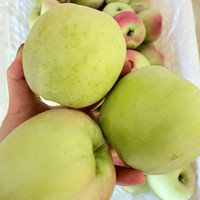 鲜姿印度青苹果丑苹果新鲜水果丑苹果新鲜青苹果时令水果整箱 3斤大果