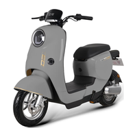 立马电动自行车80公里长续航电动车CG-3锂电池48V24Ah新国标电瓶车免驾照骑行上班代步小电驴海岸灰