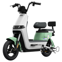 加州豹 JZBOO新国标电动车成人助力代步48V男女士长跑王电动自行车 绿色 超威/天能20A电池约65-95公里