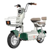 Yadea 雅迪 C20 复古长续航电动自行车 绅士绿