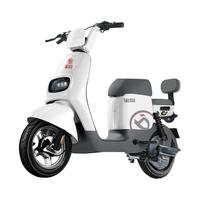 宝岛 电动自行车N18锂电48V24Ah星恒锂电长续航80km豪华外观代步首选 塔夫白