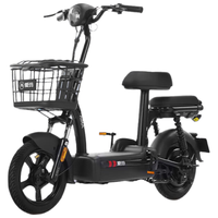 爱玛（AIMA）欢乐豆48V12电动车电动自行车新国标成人可上牌电瓶车 源彩塔塔绿