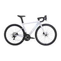 XDS 喜德盛 AD300 公路自行车 幻彩紫/银 18速 700C*480