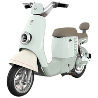 绿源电动车ZKT新国标48V24AH锂电池液冷电机长续航电动自行车光纤白