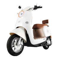 ZUB 五星钻豹 电动车 80KM长续航男女新国标电动自行车48V24AH锂电池电瓶车 B13 靠背板