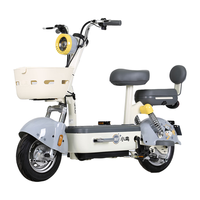 小鸟 新国标电动车亮闪闪48V24Ah锂电池自行车代步助力长续航高级灰