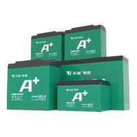 天能 电池A+系列 铅酸电池 4只装