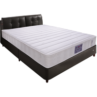 FUANNA 富安娜  舒睡怡然 弹簧床垫 120*200*22cm