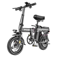 普莱德 G11-4 电动自行车 48V15Ah锂电池 银黑色