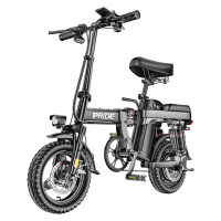 普莱德 G11-4 电动自行车 48V15Ah锂电池 银黑色