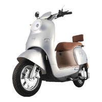 ZUB 五星钻豹 新国标电动自行车48V24AH锂电池电瓶车 B13 尾箱版