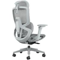 ENOVA 智慧家护腰人体工学椅宿舍久坐舒适电脑椅办公 墨妍黑-lite版-无脚踏