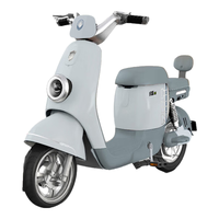 绿源电动车ZKT新国标48V24AH锂电池液冷电机长续航电动自行车静谧灰