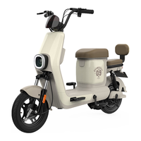 BODO 宝岛电动车 宝岛新国标电动车N5电动自行车48V成人可提电瓶车超长续航 22A锂电可提-暖咖