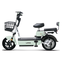 立马小叮当电动自行车铅酸电池48V20Ah上班代步新国标电瓶车欢乐豆小锦鲤 青岩绿