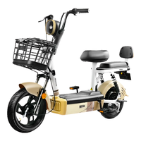 宝岛新国标电动车抹茶48V12Ah铅酸电池代步长续航电动自行车岩石灰