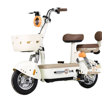 小鸟新国标电动车亮闪闪48V24Ah锂电池自行车代步助力长续航乳白