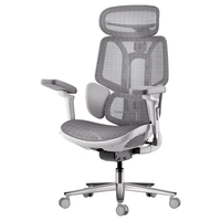 黑白调E3人体工学椅电脑椅办公椅老板椅多功能可调节电竞椅 Pro云白（6D扶手+4D头枕）