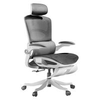 HBADA 新P2 Pro人体工学椅电脑椅家用舒适久坐办公椅学习椅电竞椅