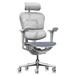 Ergonor 保友Ergonor 电脑椅 联友人体工学椅 基尼迪亚办公网椅黑色