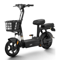 新国标48V电动自行车 小幸运石墨烯电动车男女成人电瓶车可上牌 小幸运