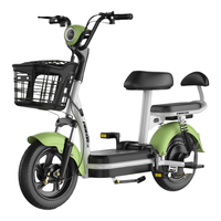 飞鸽 FG FLYING PIGEON电动车新国标电动车自行车男女成人电瓶车超长续航小型两轮通勤代步电单车 清新绿 【车架款】详情客服