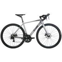 喜德盛（xds）公路自行车RT280 14速禧玛诺变速 机械碟刹 太空灰/黑 700C*480