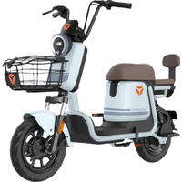 雅迪甜橙 48v24a星恒锂电 积木蓝