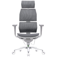 工学至尊 i5 骶位支撑人体工学椅 家用电脑椅 办公椅子 老板椅 电竞椅 白框科技灰