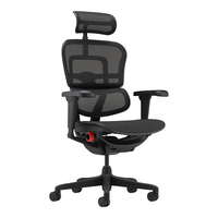 Ergonor 保友办公家具 金豪雄鹰X9 电竞人体工学椅 武士黑