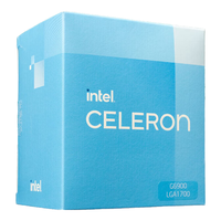 intel 英特尔 赛扬G6900 2核2线程 盒装CPU处理器 台式机 组装电脑使用