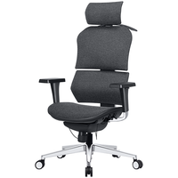 Want Home 享耀家 X5 人体工学电脑椅 科技灰