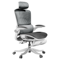 HBADA 黑白调 P2人体工学椅人工力学椅电竞电脑椅网椅办公家用久坐舒适学习椅子 P2霜白