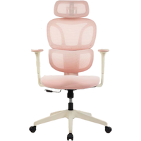 网易严选papi酱小蛮腰S9LADY女生椅女神椅人体工学椅转椅办公椅电脑椅 【高配款】春云粉升降扶手无搁脚