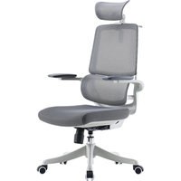 SIHOO 西昊 M59A 人体工学电脑椅 3D扶手 带头枕