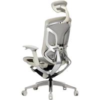 ERGOUP 有谱 蝴蝶 人体工学电脑椅