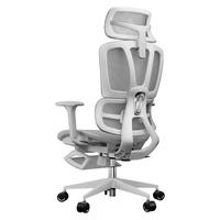 ERGOUP 有谱 V1 人体工学椅