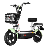 小羚羊 新国标电动车 可上牌  超长续航电动车【续航70公里 购车赠头盔+挡风被