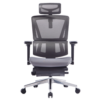 LIANSHU 恋树 L1 人体工学电脑椅 灰色 海绵款