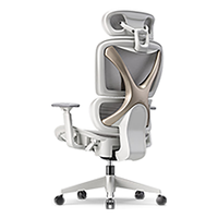 永艺月光骑士XY椅人体工学椅电脑椅总裁椅电竞椅可躺办公椅可升降 月光骑士Pro-带搁脚【包安装】