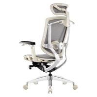 ERGOUP 有谱 致炫 人体工学电脑椅