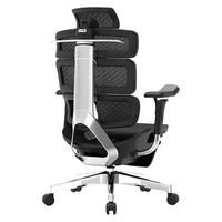 Ergomax 迩高迈思 Evolution2 人体工学电脑椅