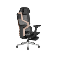 ENOVA自由家人体工学椅办公座椅舒适学习椅子电竞椅撑腰椅电脑椅 香槟金(6D扶手+铝合金脚+脚踏)