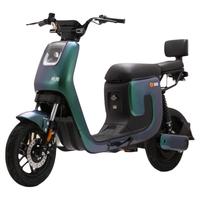 LUYUAN 绿源 ZK5-K5 电动自行车 TDT2171Z