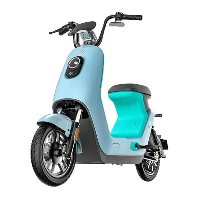 LUYUAN 绿源 LIVA6 电动自行车 TDT2231Z