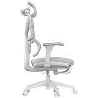 京东京造 Z7 Pro 人体工学椅 灰色 魔术臂款